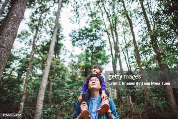 lovely little girl riding joyfully on her young daddy’s shoulder while they are hiking in forest - real people lifestyle fotografías e imágenes de stock