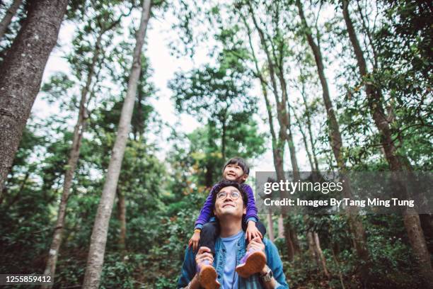 lovely little girl riding joyfully on her young daddy’s shoulder while they are hiking in forest - sustainable lifestyle stockfoto's en -beelden