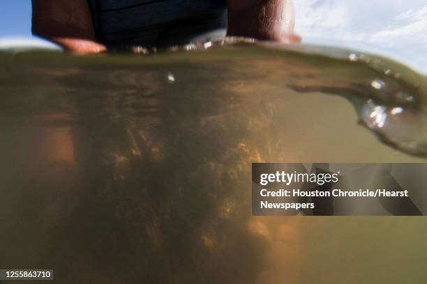 Runt Nelson with Jeri's Seafood holds oysters from a reef in Galveston's East Bay Monday, Aug. 17 in Smith Point.