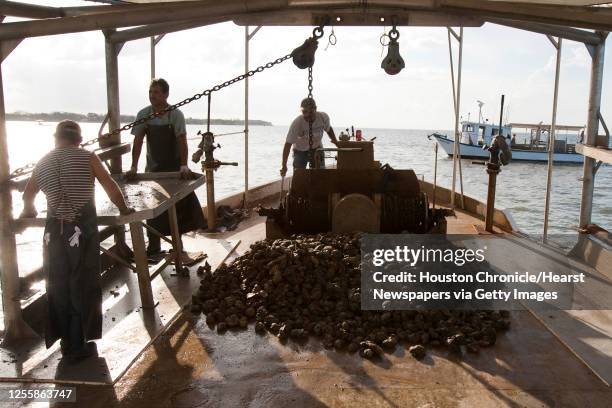 Javier Zendejas , Alejandro Muniz and Captain Refugio Cendejas work abord Jeri's Seafood oyster boat Miss Britney on a reef in Galveston's East Bay...