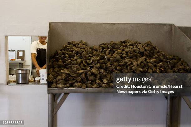 Oysters inside Jeri's Seafood after being harvested from a reef in Galveston's East Bay Monday, Aug. 17 in Smith Point.