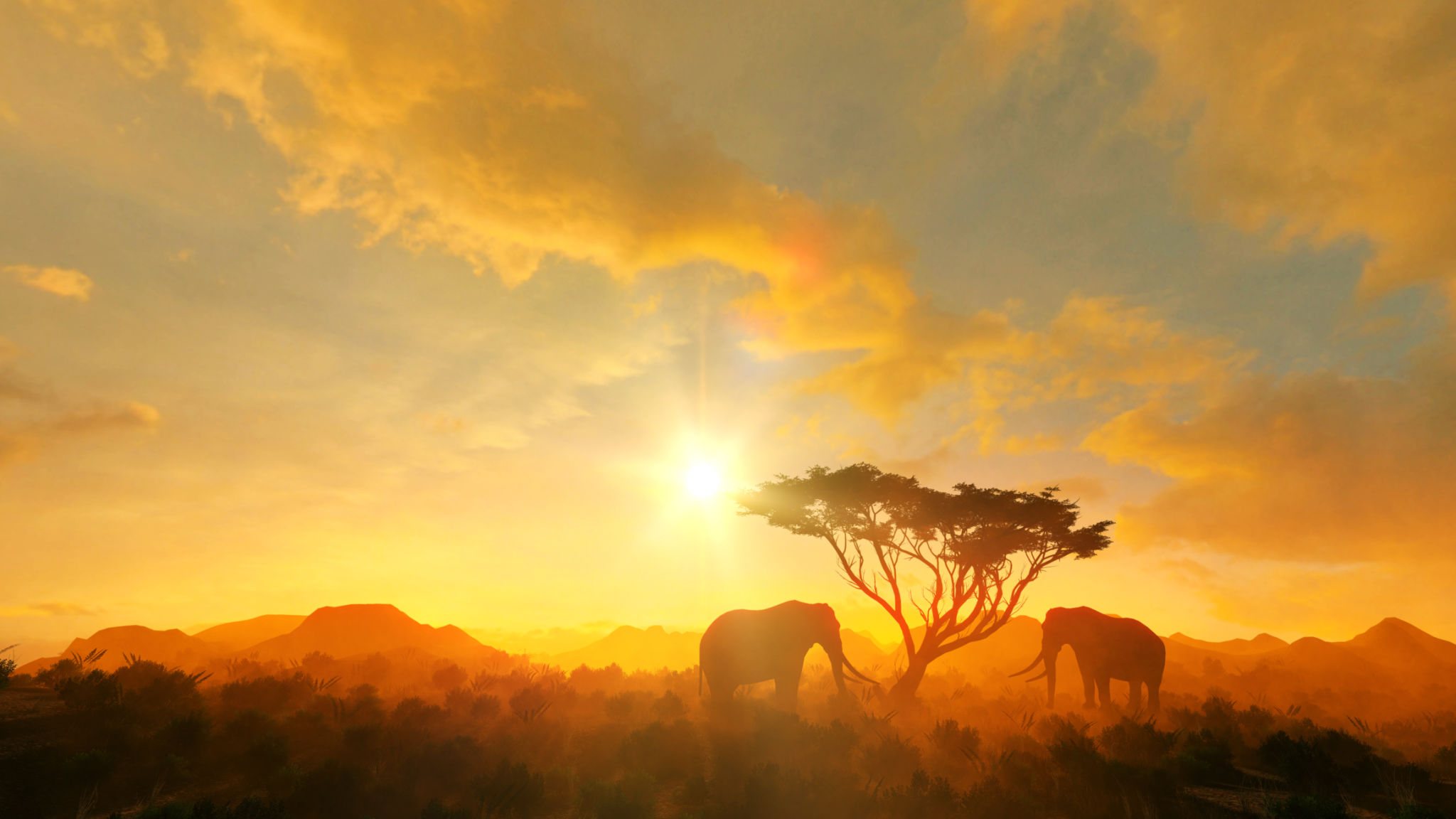 sunset safari