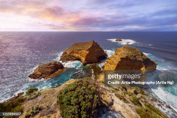 cape wiles, whalers way, eyre peninsula, south australia - port lincoln stock pictures, royalty-free photos & images