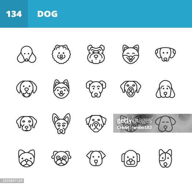 dog line icons. editable stroke. pixel perfect. for mobile and web. contains such icons as dog, puppy, pet, domestic animal, husky, labrador, pomeranian, pug, golden retriever, german shepherd, bulldog. - purebred dog stock illustrations