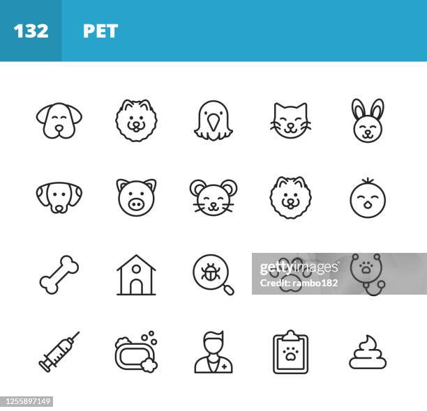 ilustrações, clipart, desenhos animados e ícones de ícones da linha pets. golpe editável. pixel perfeito. para mobile e web. contém ícones como kitty, cat, dog, puppy, chick, bunny, fishbowl, syringe, pet food, dog bone, kennel, grooming, vet shop. - loja de animais de estimação