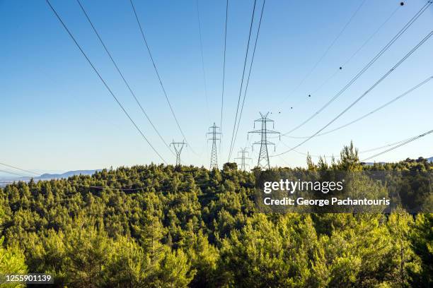 Tree Pylon 8,378 Tree Power Line Stock Photos, High-Res Pictures, and Images ...