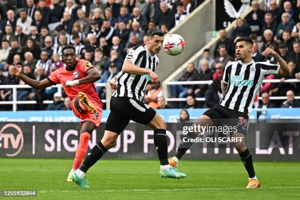 Brighton's English striker Danny Welbeck shoots the ball and miss to score during the English Premier League football match between Newcastle United...