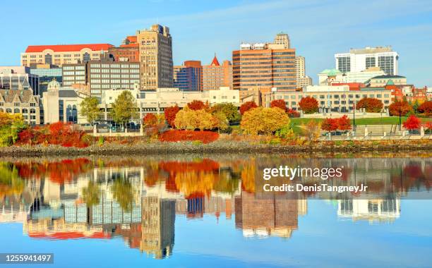 autumn in albany - albany new york stock pictures, royalty-free photos & images