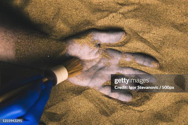 forensic expert discovering dead body buried in desert sand, novi sad, serbia - murder stock pictures, royalty-free photos & images
