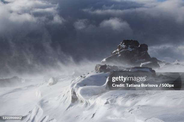 blizzard, karpinsk, russia - schneesturm stock-fotos und bilder