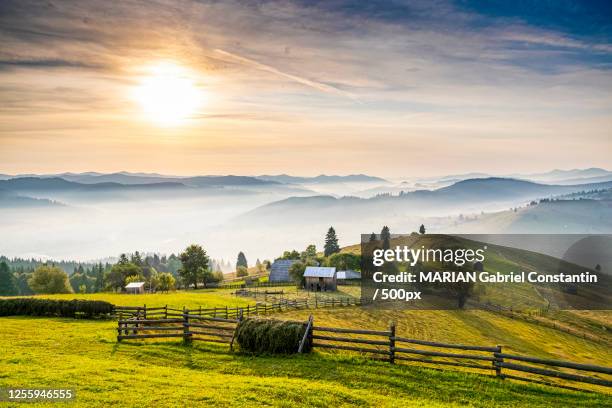 an autumn sunrise in bucovina, vatra, romania - 羅馬尼亞 個照片及圖片檔