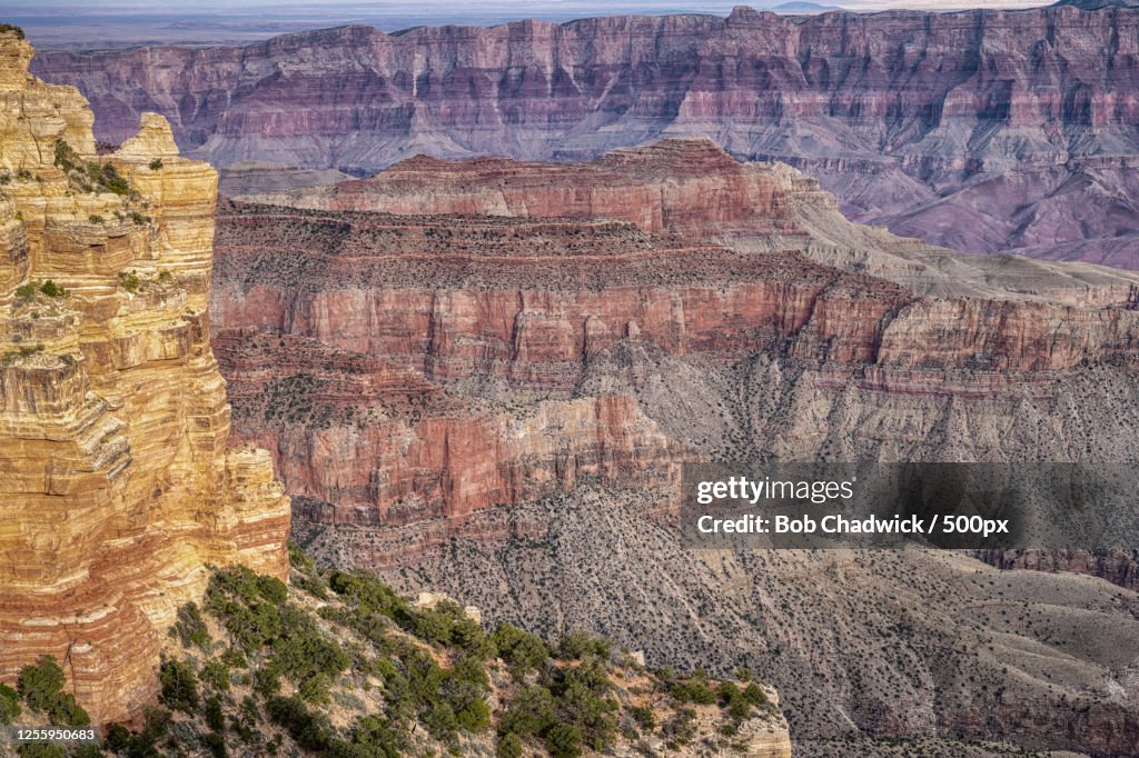 Canyon with Walhalla Overlook, North Rim, Grand Canyon National Park, Chadwick, Arizona, USA
