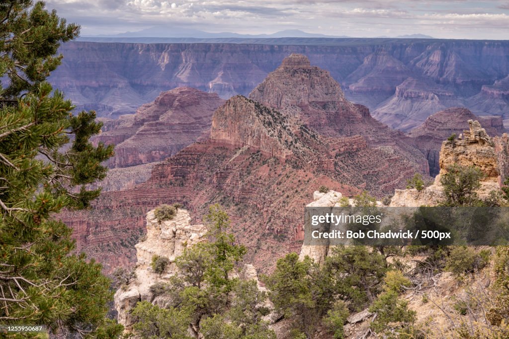 Canyon with Walhalla Overlook, North Rim, Grand Canyon National Park, Chadwick, Arizona, USA