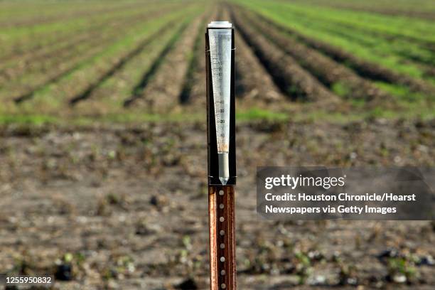 An empty rain gauge on Alan Stasney's farm Monday, Oct. 17 in Beasley. Stasney is one of the many farmers who participated in the federal crop...