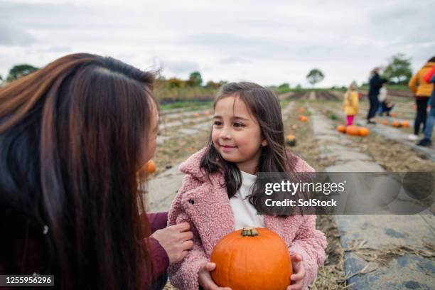 pompoen plukken met mama - asian mother and daughter pumpkin stockfoto's en -beelden