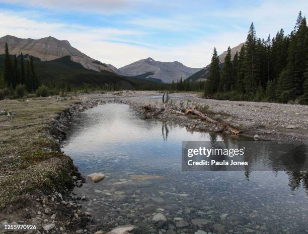 kananaskis country - kananaskis stock pictures, royalty-free photos & images