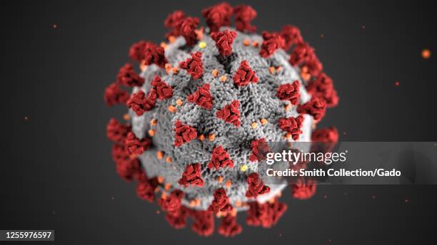 This illustration, created at the Centers for Disease Control and Prevention , reveals ultrastructural morphology exhibited by coronaviruses, 2020. A...