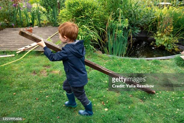 little boy  helping in allotment garden - holzstock stock-fotos und bilder