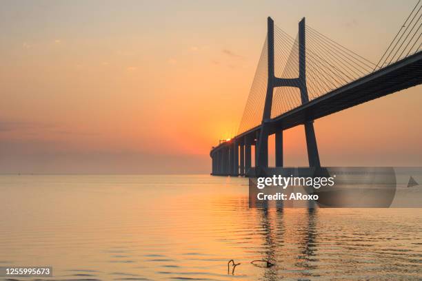 the vasco da gama bridge crosses the tagus river, and is one of the longest bridges in the world. lisbon is an amazing tourist destination because their urban landscapes, by its light, its monuments. - ponte vasco da gama stock-fotos und bilder