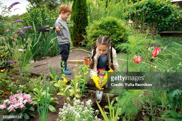 young girl and little boy planting flowers at urban garden - flowering plant - fotografias e filmes do acervo