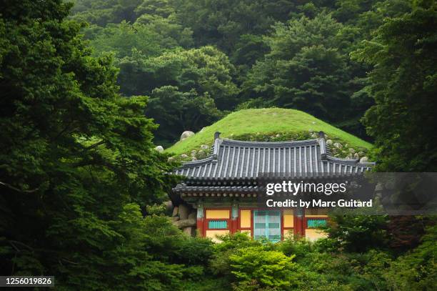 small temple nestled in a forest, bulguksa temple, gyeongju, south korea - members of south korean stock pictures, royalty-free photos & images