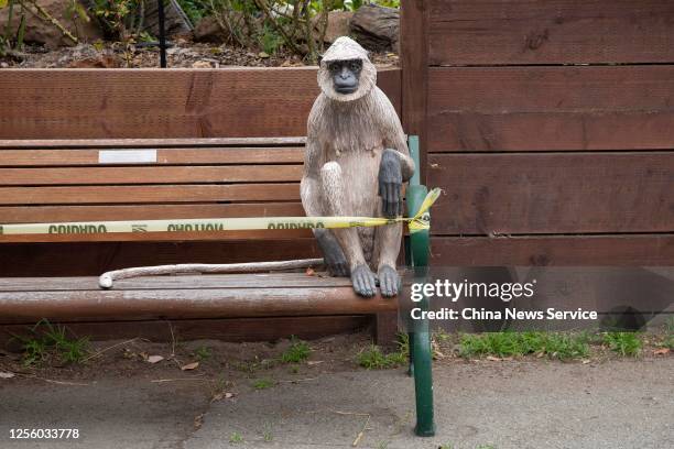 Sculpture of a monkey sits on a bench, which is blocked off by caution tape, at the San Francisco Zoo on July 13, 2020 in San Francisco, California....