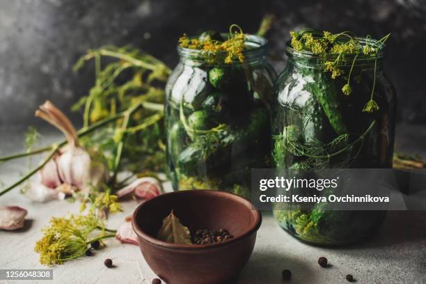 glass jar with fresh low-salt pickled cucumbers. over black wooden table with sprinkled sea salt and garlic. dark rustic style. natural day light - salted bildbanksfoton och bilder