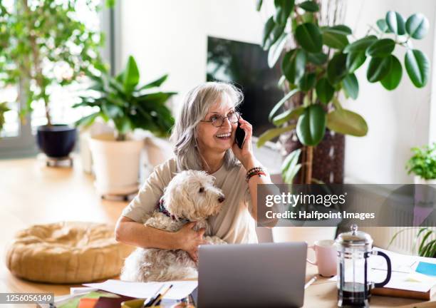 active senior architect with pet dog at the table in home office, using smartphone. - cheveux blancs photos et images de collection