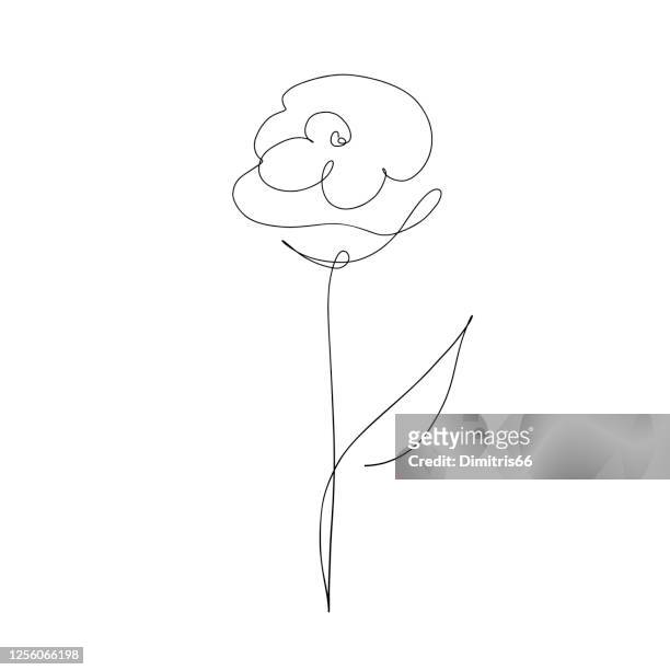 abstract rose in continuous line art drawing style - flower outline stock illustrations