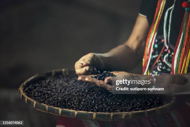 arabica coffee beans roasted medium - arabica coffee drink stock pictures, royalty-free photos & images