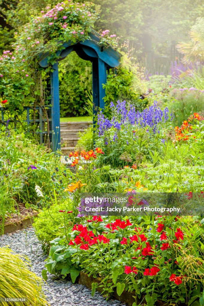Beautiful English cottage, summer garden with blue wooden archway, in soft sunshine