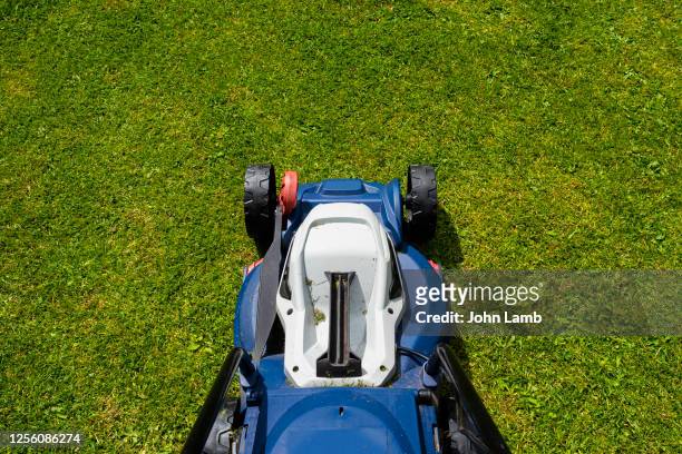 point of view shot of lawn mower on lush grass. - lawn mower stock pictures, royalty-free photos & images