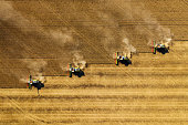 Harvesting In Agriculture Crop Field.