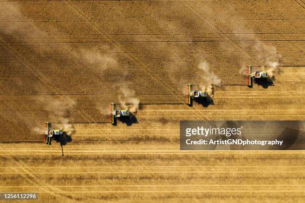 harvesting in agriculture crop field. - aerial view stock pictures, royalty-free photos & images