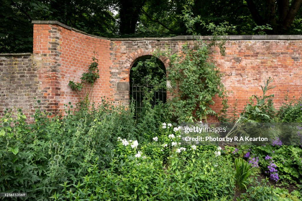 Old walled garden gate and summer flowers