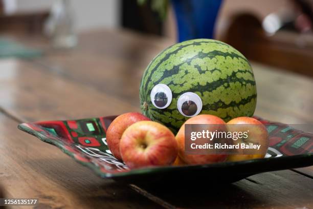 melon with googly eyes on sitting in a bowl - googly eyes stock pictures, royalty-free photos & images