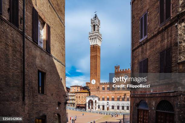 torre del mangia and piazza del campo square in siena, tuscany, italy - praça do campo imagens e fotografias de stock