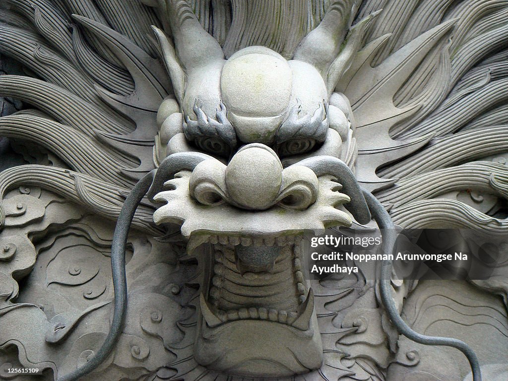 236+ Thousand Chinese Dragon Royalty-Free Images, Stock Photos