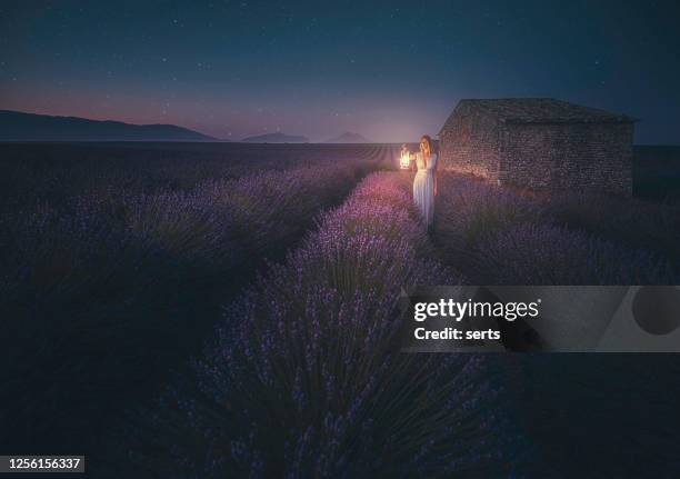jonge vrouw die lantaarn op het lavendelgebied tijdens nacht houdt - lantern stockfoto's en -beelden