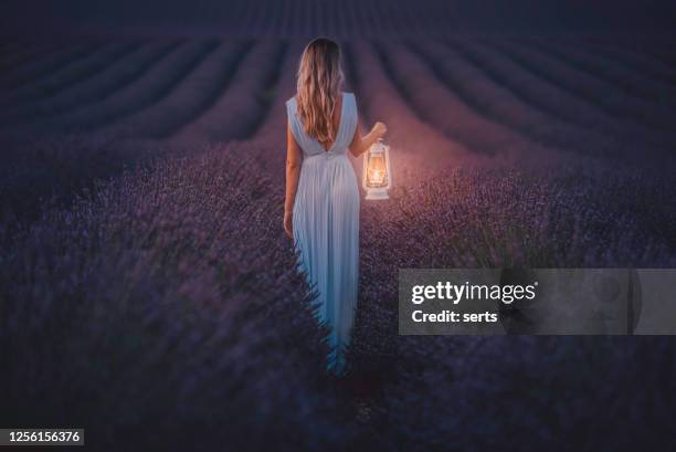 young woman holding lantern in the lavender field during night - fantasy female stock pictures, royalty-free photos & images