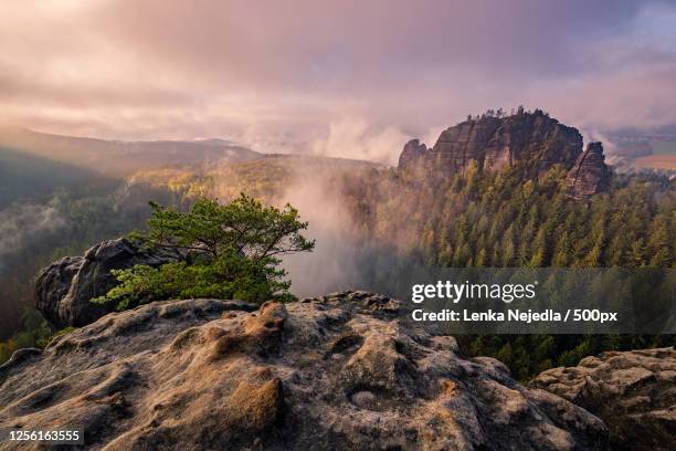 rocky landscape with forest, sebnitz, germany - sebnitz stock pictures, royalty-free photos & images