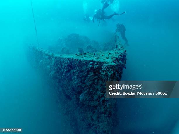wreck of baron gautsch underwater - wrack stock-fotos und bilder