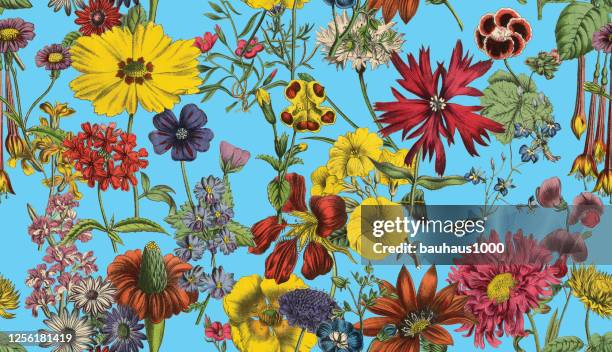 victorian botanical, hand-colored, seamless repeating pattern. realistic blooming isolated flowers vintage fabric background. beautiful cottage garden and wildflowers. wallpaper baroque. drawing engraving. victorian illustration. - victorian background stock illustrations