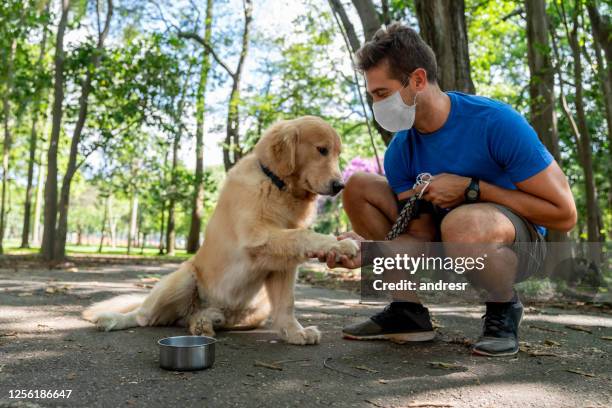 de opleiding van de mens met zijn hond bij het park en het dragen van een facemask - dog mask stockfoto's en -beelden