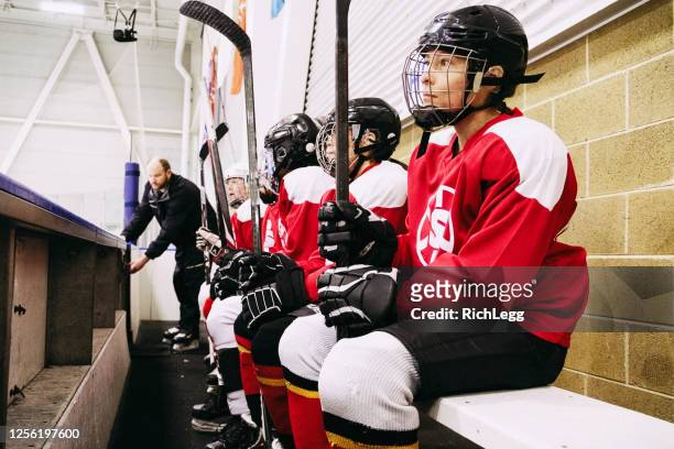 women ice hockey team on the bench - sports equipment stock pictures, royalty-free photos & images