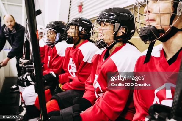 women ice hockey team on the bench - female hockey team stock pictures, royalty-free photos & images