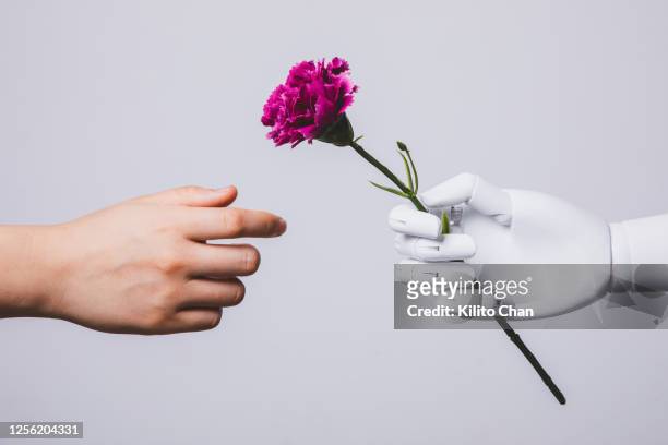 human hand reaching for carnation flower in robotic hand - robot stock pictures, royalty-free photos & images