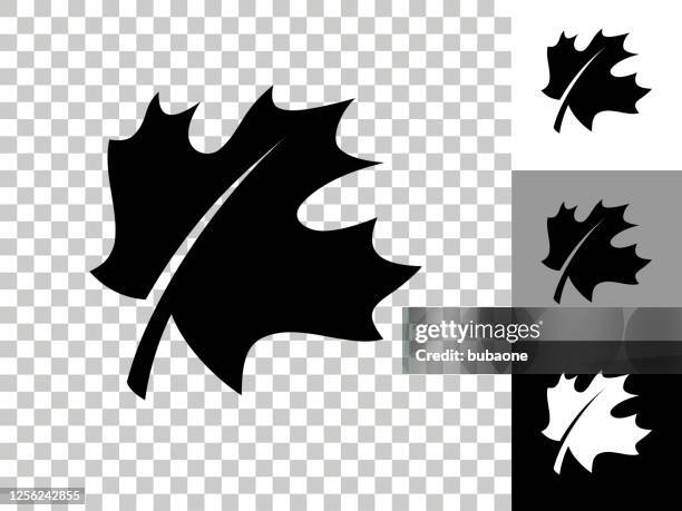 5 855点のかえでの葉イラスト素材 Getty Images 5 855点のかえでの葉イラスト素材 Getty Images