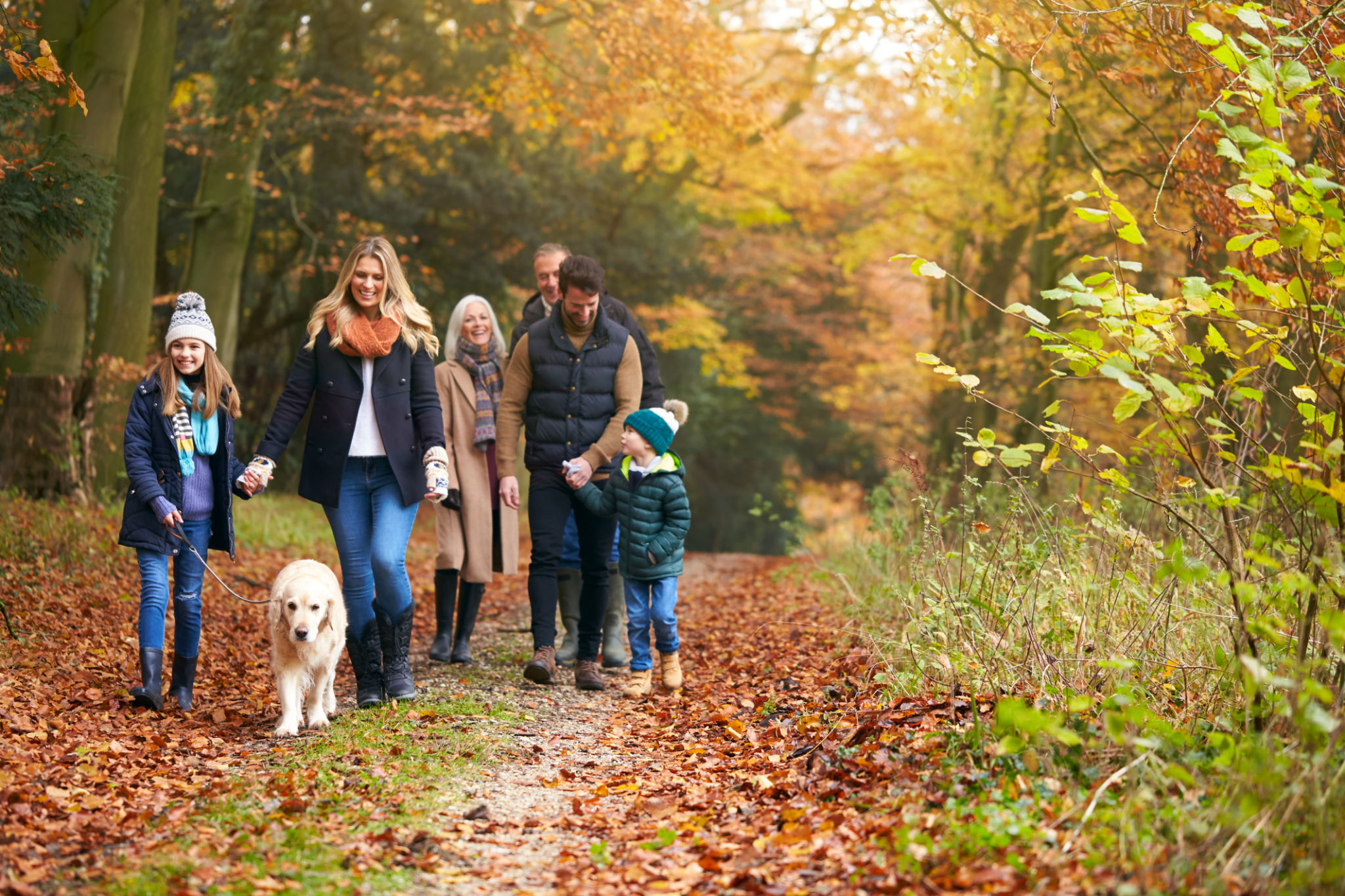 dog autumn walk