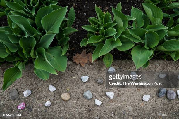 Stones are left outside the Tree of Life Synagogue at the conclusion of a ceremony led by Rabbi Jeffrey Myers to say l'hitraot, or until we see each...